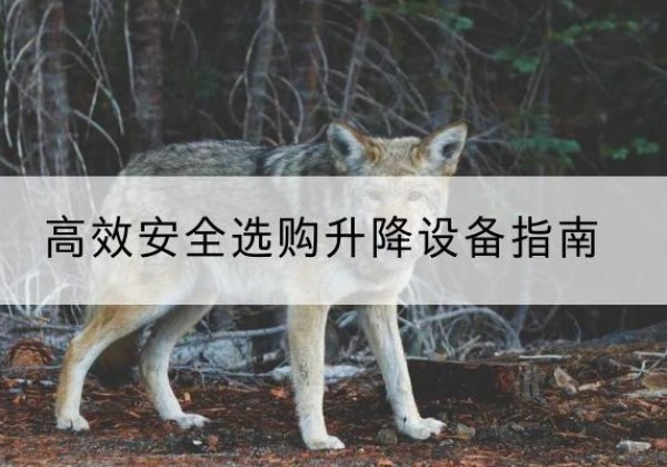 子长升降货梯厂家推荐-*安全选购升降设备指南
