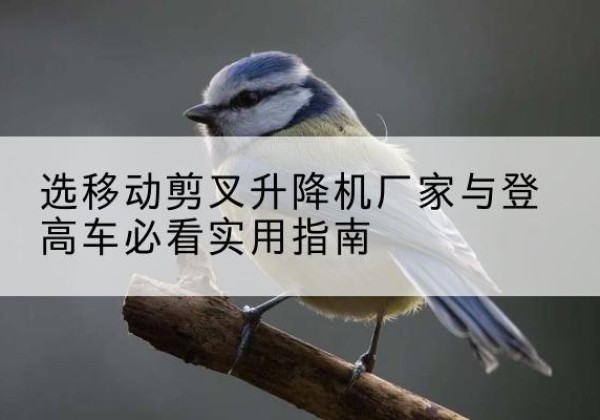 子长电动升降机厂家-选移动剪叉升降机厂家与登高车必看实用指南