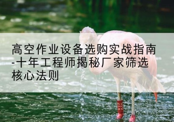 子长剪叉式升降机厂家-高空作业设备选购实战指南-十年工程师揭秘厂家筛选核心法则